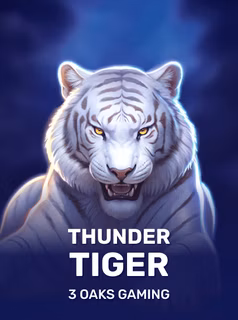 Игра Thunder Tiger